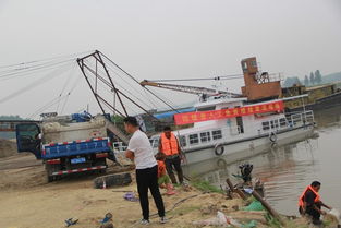 固鎮(zhèn)縣畜牧獸醫(yī)水產(chǎn)局積極開(kāi)展?jié)O業(yè)資源增殖人工放流活動(dòng) 助力畜牧漁業(yè)飼料銷(xiāo)售新篇章