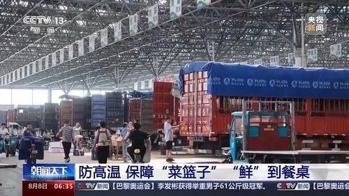 生產(chǎn)穩(wěn)定供給充足 看各地如何拎穩(wěn)菜籃子與畜牧漁業(yè)飼料銷(xiāo)售